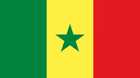 勒沃库森终结多特蒙德主场连胜纪录